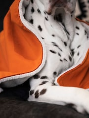 Lords and Labradors Velvet Pumpkin Blanket - Image 2 of 3