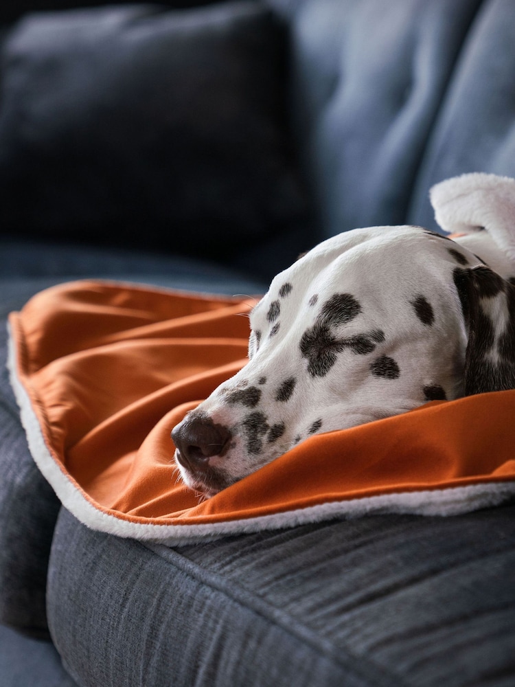 Lords and Labradors Velvet Pumpkin Blanket - Image 3 of 3