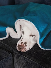 Lords and Labradors Blanket - Bild 1 von 3