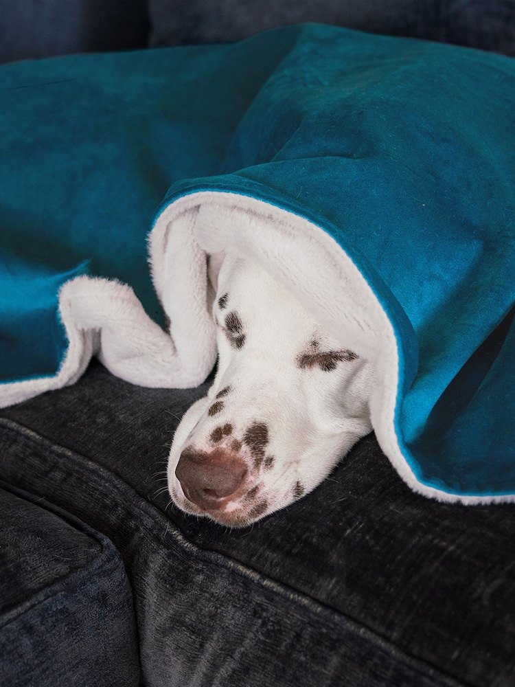 Lords and Labradors Blanket - Bild 1 von 3