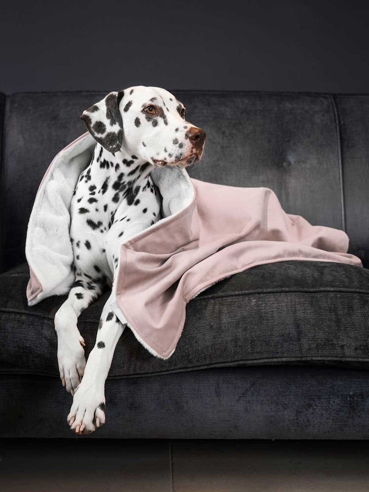 Lords and Labradors Blanket - Imagen 2 de 2