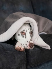 Lords and Labradors Velvet Silt Blanket - Image 1 of 3