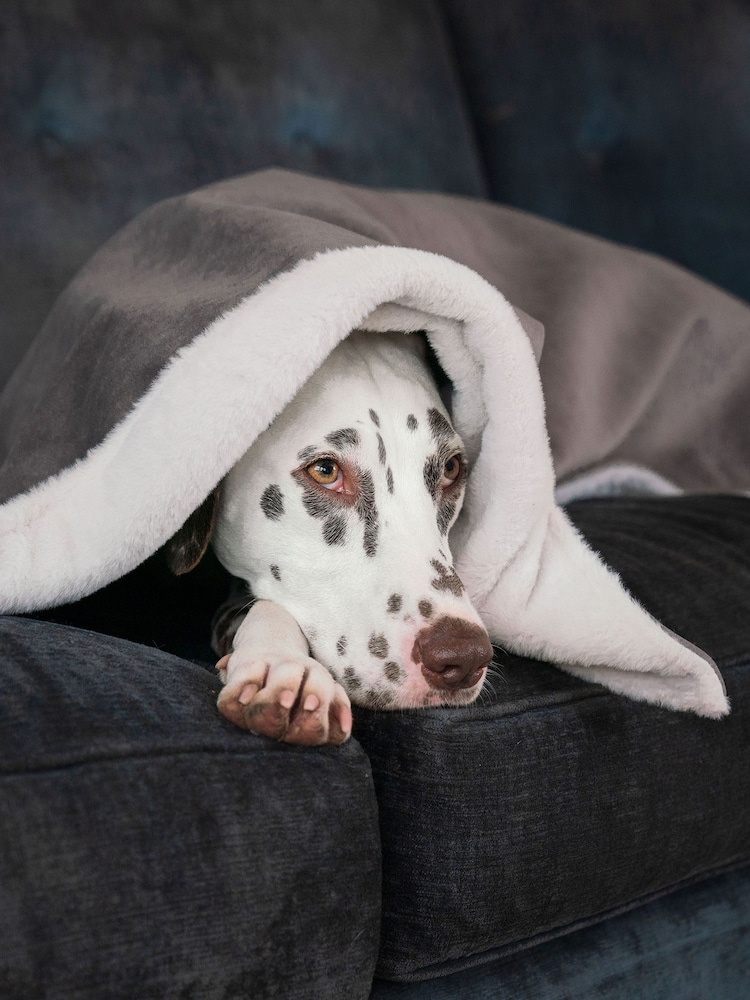 Lords and Labradors Velvet Silt Blanket - Image 1 of 3