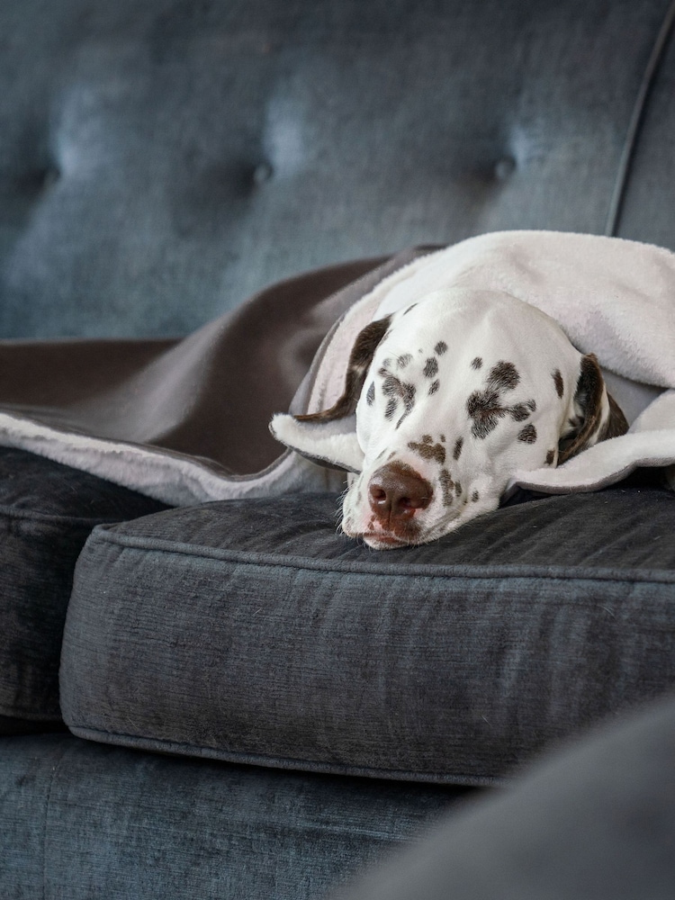 Lords and Labradors Velvet Silt Blanket - Image 3 of 3