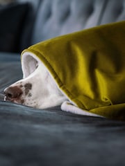 Lords and Labradors Velvet Olive Blanket - Image 2 of 3