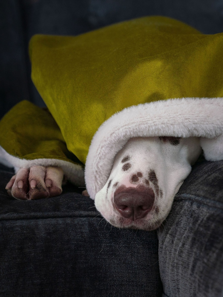 Lords and Labradors Velvet Olive Blanket - Image 3 of 3