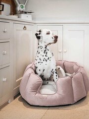 Lords and Labradors Velvet Blossom High Side Bed S - Image 1 of 3