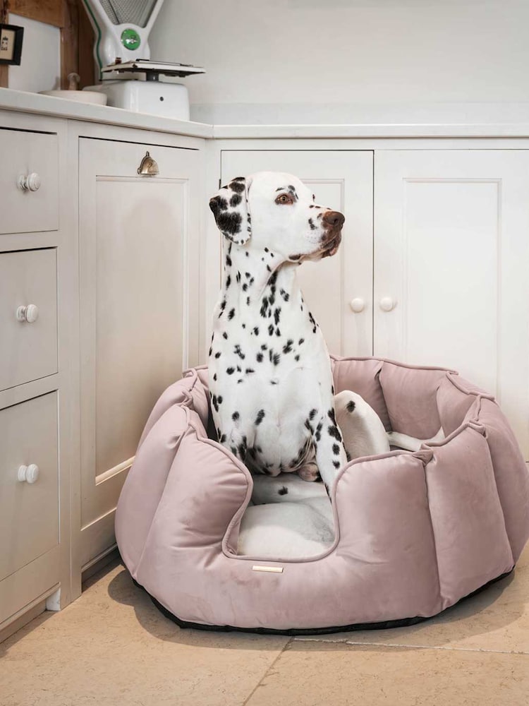Lords and Labradors Velvet Blossom High Side Bed S - Image 1 of 3