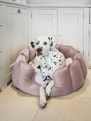 Lords and Labradors Velvet Blossom High Side Bed S - Image 2 of 3