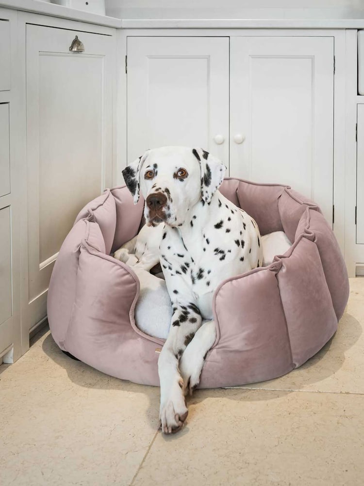 Lords and Labradors Velvet Blossom High Side Bed S - Image 2 of 3