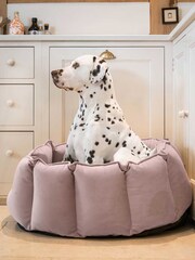 Lords and Labradors Velvet Blossom High Side Bed S - Image 3 of 3