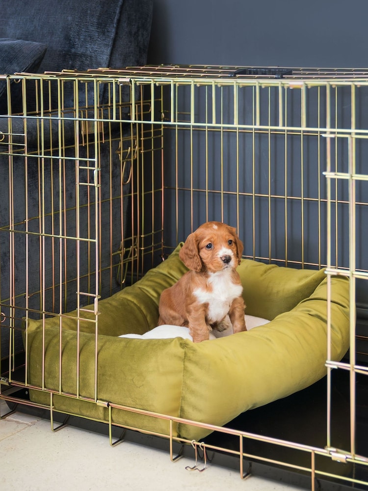 Lords and Labradors Velvet Olive L&L Cosy & Calm w/inner Velvet Olive M - Image 2 of 3