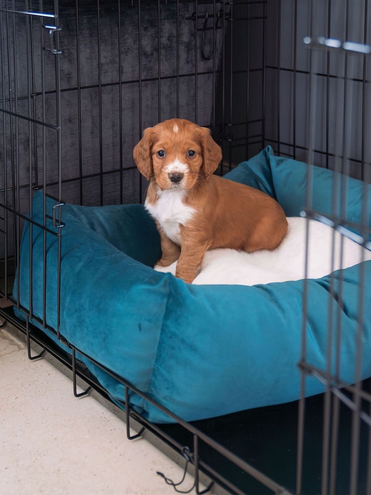 Lords and Labradors Velvet Marine Cosy & Calm w/inner Velvet Marine M - Image 1 of 3