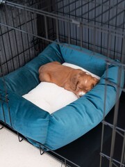 Lords and Labradors Velvet Marine Cosy & Calm w/inner Velvet Marine M - Image 2 of 3