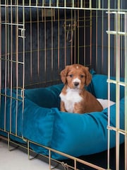 Lords and Labradors Velvet Marine Cosy & Calm w/inner Velvet Marine M - Image 3 of 3