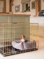 Lords and Labradors Velvet Silt Cosy and Calm Box Bed M - Image 2 of 3