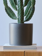 Beards & Daisies Graphite Real Cowboy Cactus Plant in Earthenware Pot - Image 4 of 4