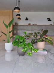 Beards & Daisies Green Bestseller Bundle With Pots - Image 1 of 4