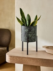 French Connection Green/Black Small Patina Metal Stand Plant Pot - Image 1 of 5