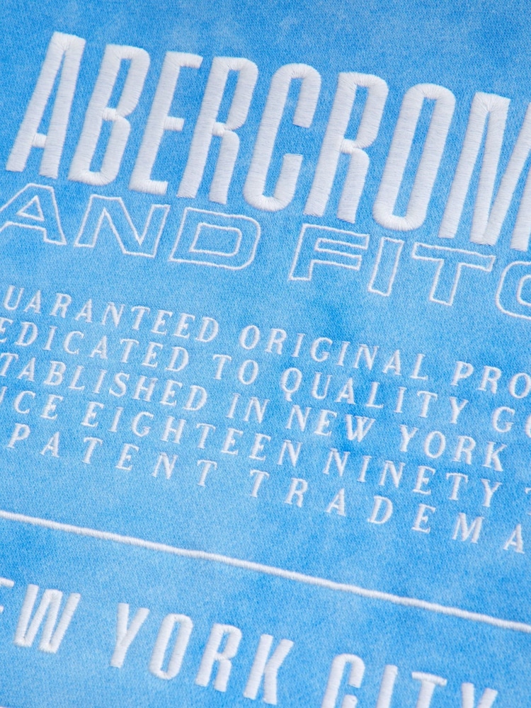 Abercrombie & Fitch Logo Graphic Back Print Hoodie - Image 3 of 3