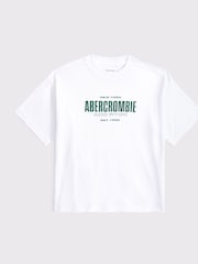 Abercrombie & Fitch Logo Graphic T-Shirt - Image 1 of 1