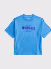 تيشيرت رسم بشعار من Abercrombie & Fitch - صورة 1 من 1
