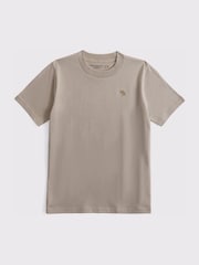Abercrombie & Fitch Essential Icon Logo T-Shirt - Image 1 of 1