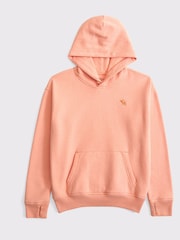 Abercrombie & Fitch Essential Icon Logo Hoodie - Image 1 of 1