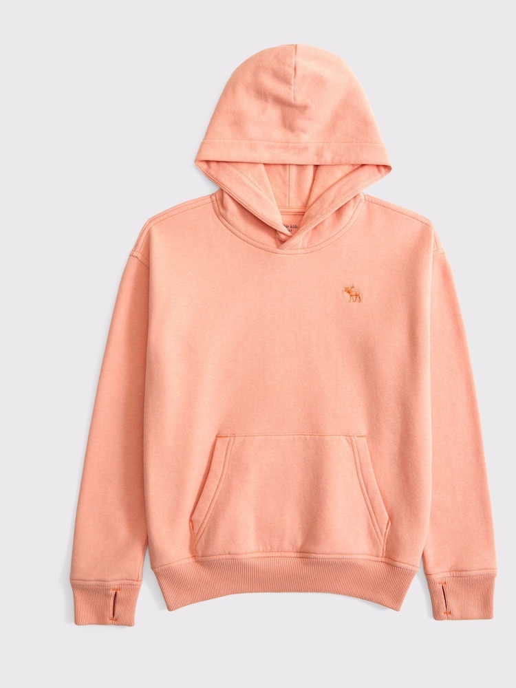 Abercrombie & Fitch Essential Icon Logo Hoodie - Image 1 of 1