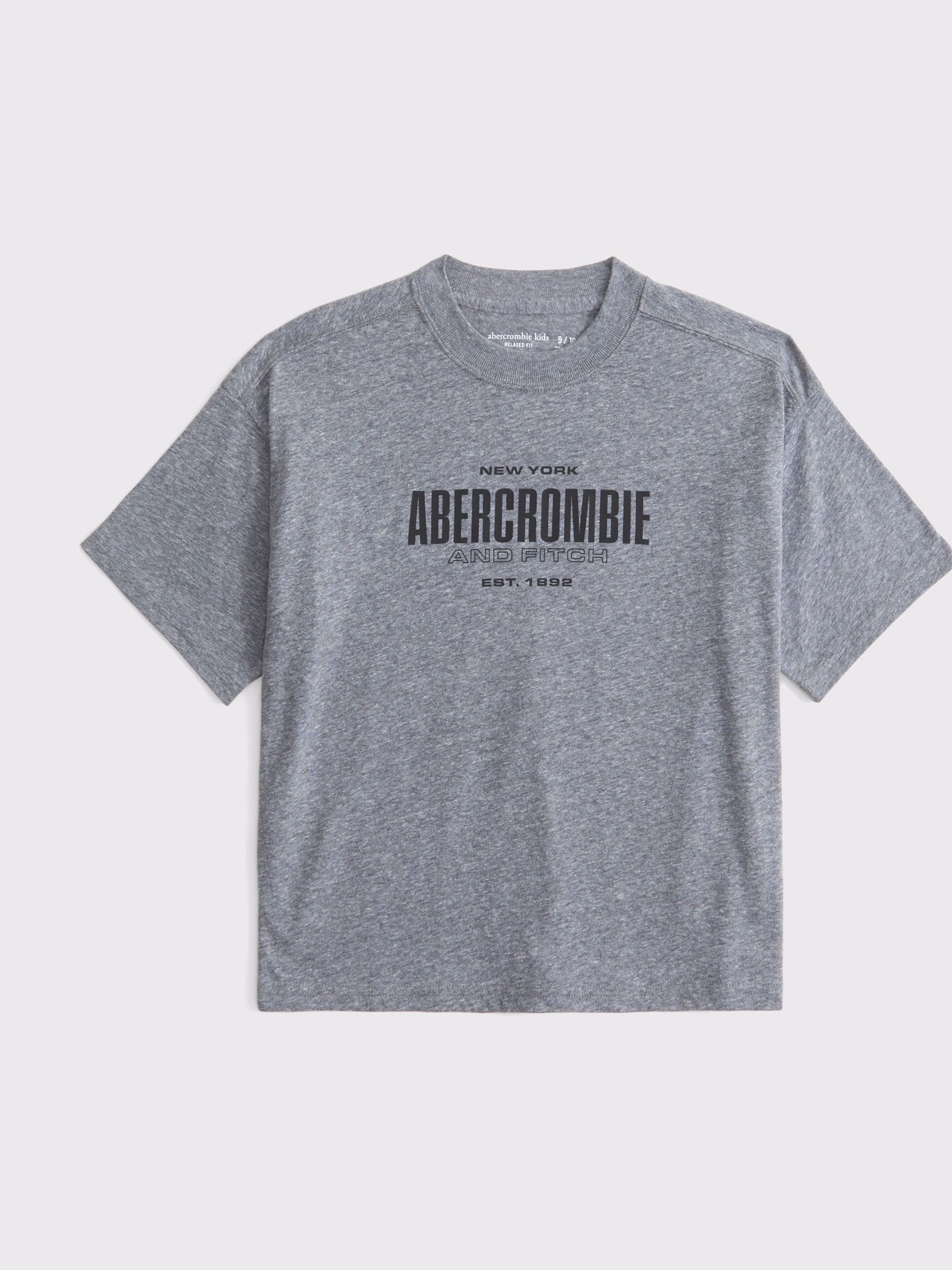 Buy Abercrombie & Fitch Logo Graphic T-Shirt from Next Canada