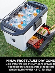 Ninja White FrostVault 50QT/47L FB151UKGY Cool Bags Hard Cooler - Image 3 of 5