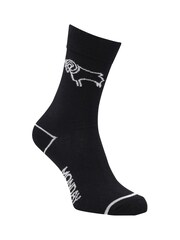 Fanatics Derby County 7 Days a Week Black Socks - Image 1 of 3