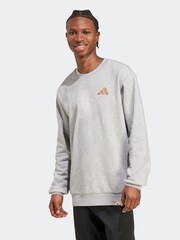 adidas Doodle Hunt Hike Graphic Sweatshirt - Imagem 1 de 6