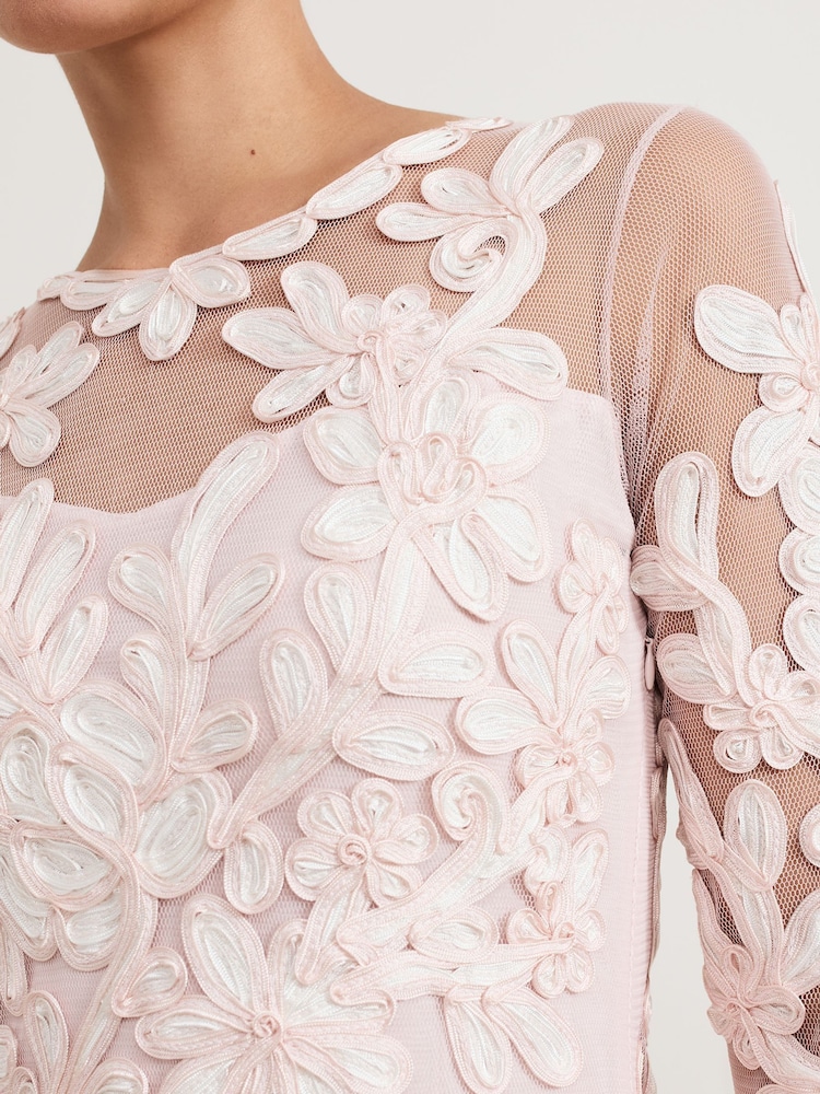 Buy Phase Eight Pale Pink Petite Annika Midi Dress from Next USA
