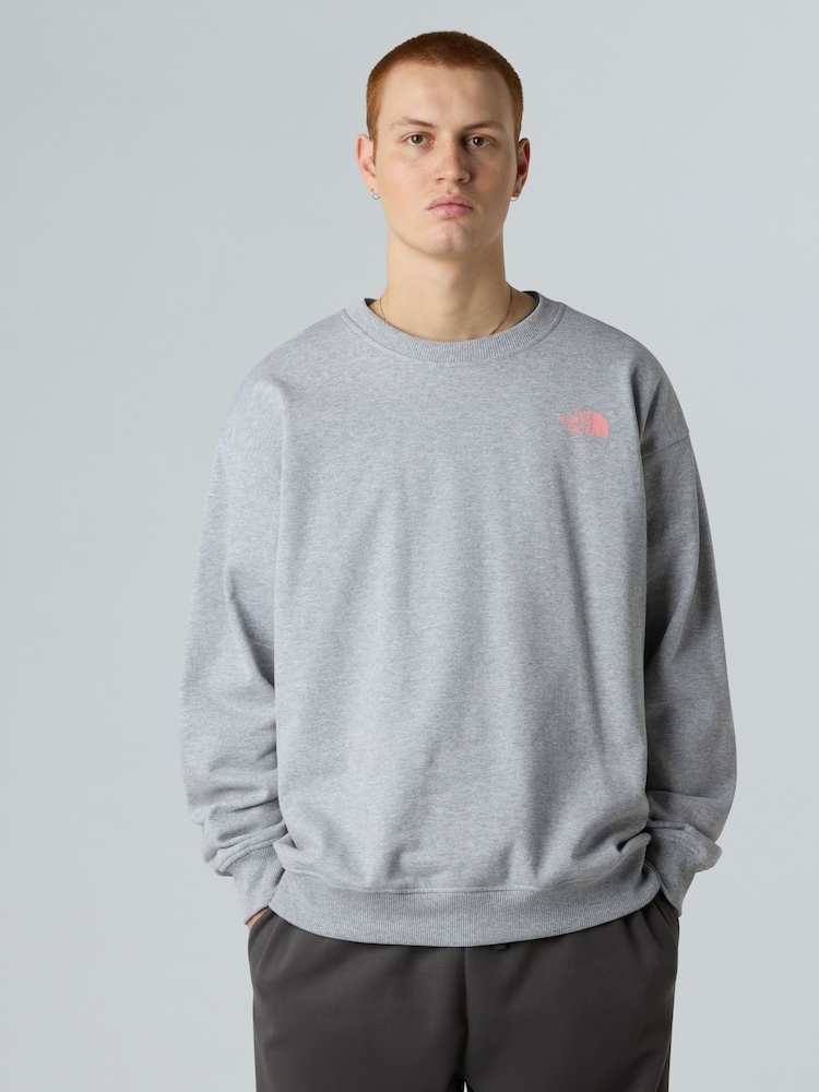 The North Face Grey Expedition Celebration Back Print Oversized Sweatshirt - Image 1 of 5 The North Face Grey Expedition Celebration Back Print Oversized Sweatshirt - Image 1 of 5