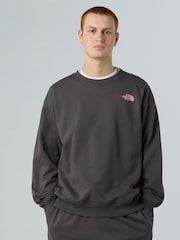 The North Face Grey Expedition Celebration Back Print Oversized Sweatshirt - Image 1 of 5