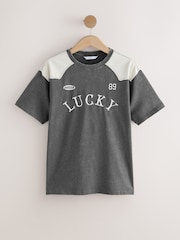 Cinza carvão - Camiseta esportiva grande com estampa gráfica, gola redonda, manga curta e lavada, com painéis contrastantes nos ombros - Imagem 5 de 7
