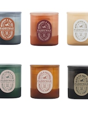 Paddywax Vista Cactus Green Cactus  & Aloe Glass Candle - Image 3 of 3