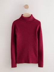 Berry Red Roll Neck Knit Jumper (3-16yrs) - Image 1 of 4