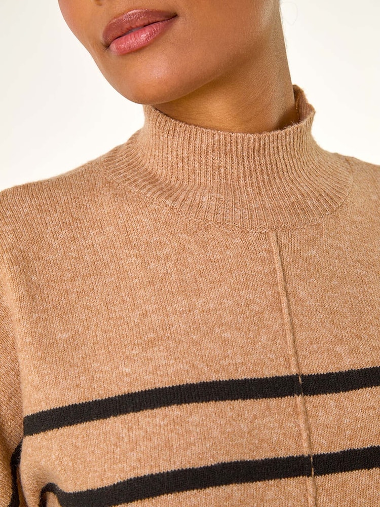 Roman Brown Relaxed Stripe Soft Knit Jumper - Image 6 of 6