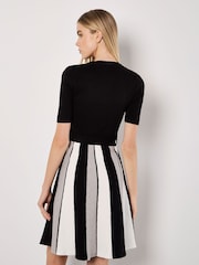 Apricot Black Colourblock Carousel Knit Dress - Image 4 of 4