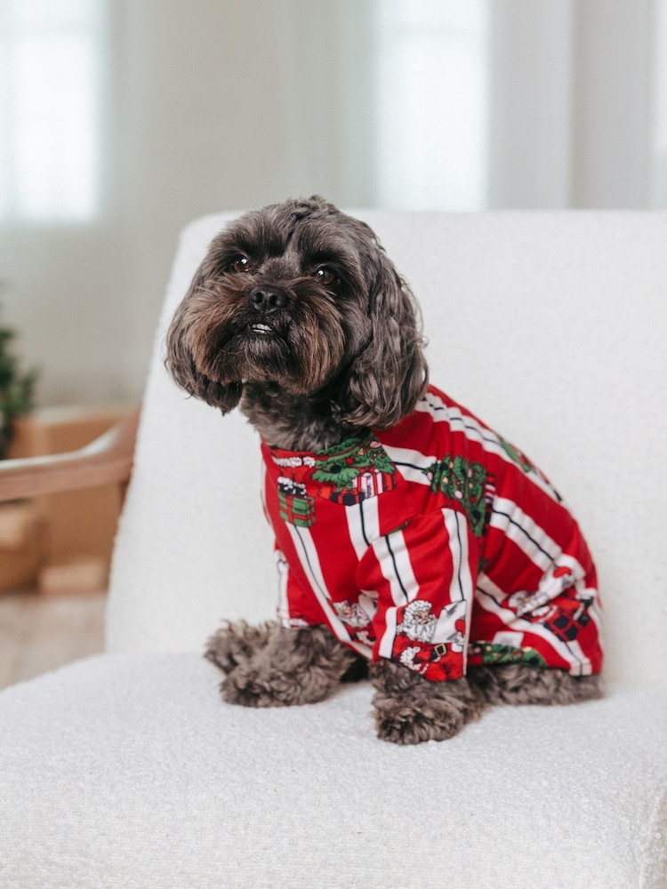 Chelsea Peers Red Pet Christmas Santa Stripe Print Pyjama T-Shirt - Image 1 of 4