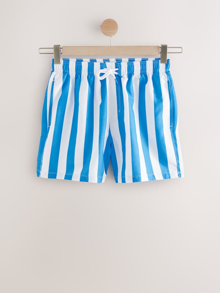Blue/White Stripe Swim Shorts - Image 6 of 9