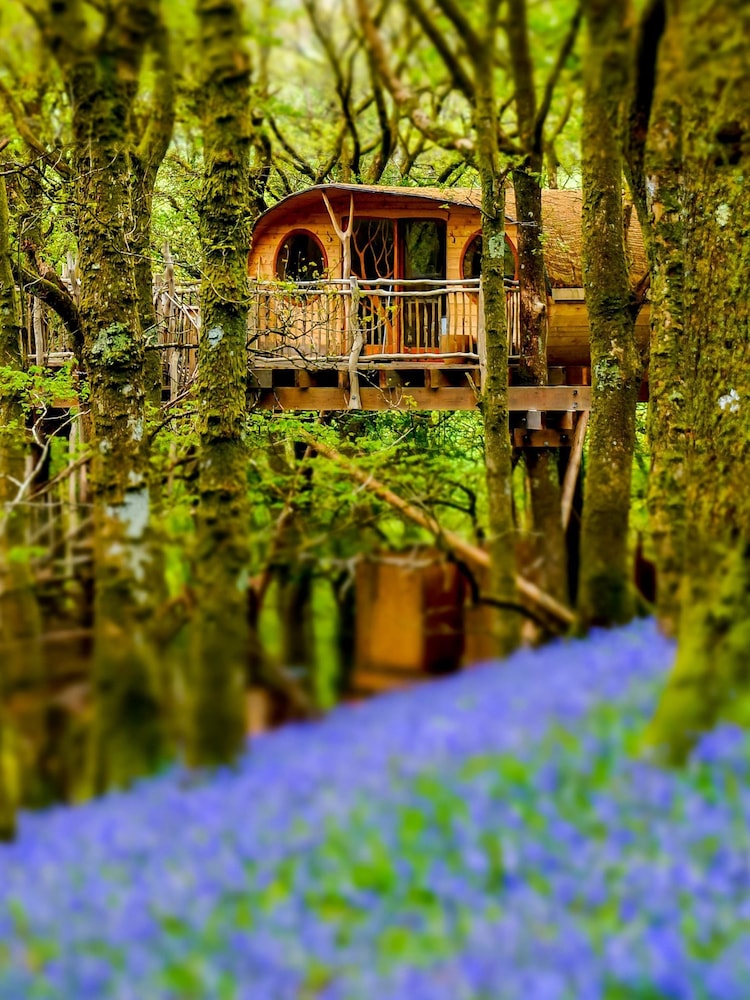 AS Multi Two Night Tree House Escape for Two Gift Experience - Image 1 of 6 AS Multi Two Night Tree House Escape for Two Gift Experience - Image 1 of 6