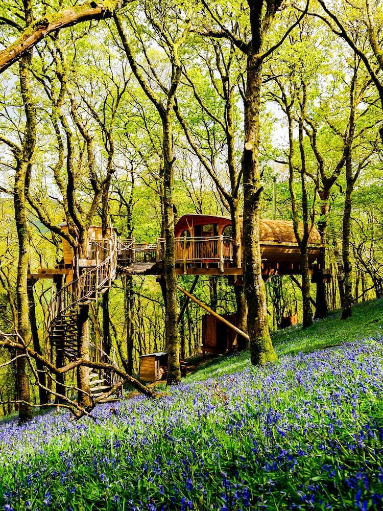 AS Multi Two Night Tree House Escape for Two Gift Experience - Image 6 of 6 AS Multi Two Night Tree House Escape for Two Gift Experience - Image 6 of 6