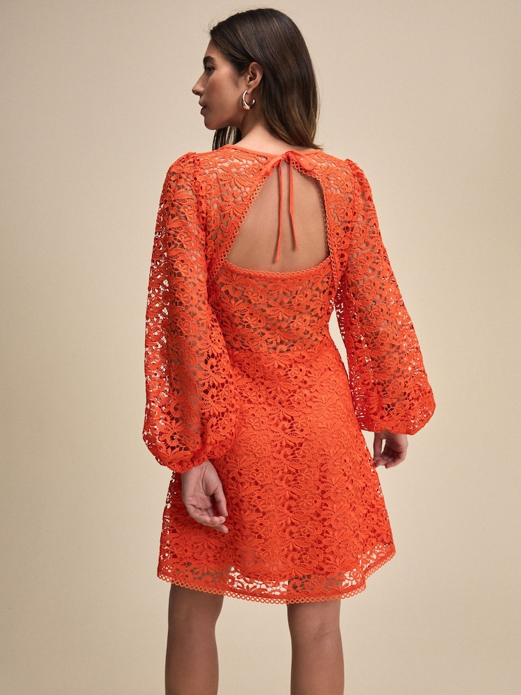 Buy Bright Orange Long Sleeve Lace A-Line Mini Dress from Next Luxembourg
