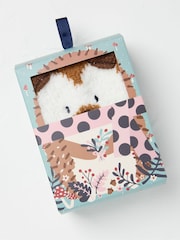 FatFace Brown Hedgehog Socks Box - Image 1 of 2