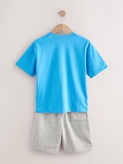 Blue/Grey Relaxed Fit Short Sleeve T-Shirt and Shorts Set (3-16yrs) - Image 2 of 5