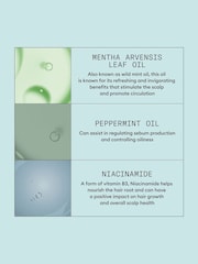 Nioxin Scalp Recovery System Kit - Image 5 of 5