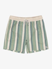 شورتات السباحة بشعار مخطط أخضر من Billabong Sundays - صورة 5 من 6